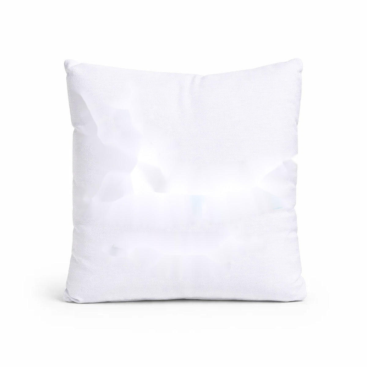 Custom Indoor/Outdoor Pillows