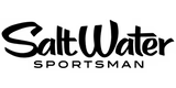 Publication logo
